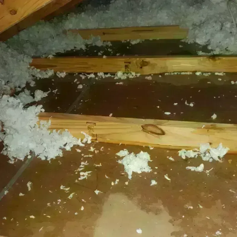 Attic Water Damage in Blairsville, PA